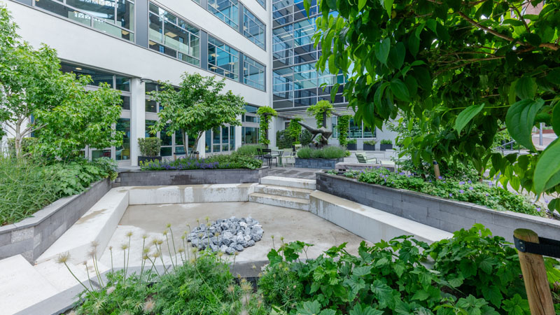 03-project_binnentuin-hogeschool-rotterdam_william-de-boet
